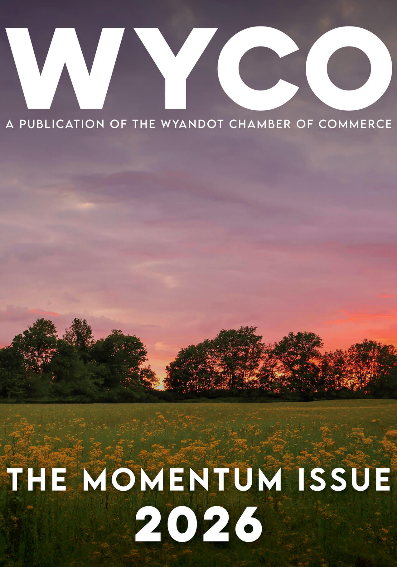 The Wyandot County Community Magazine is here! This new publication highlights local businesses, community stories, upcoming events and the people and places that make Wyandot County worth exploring.